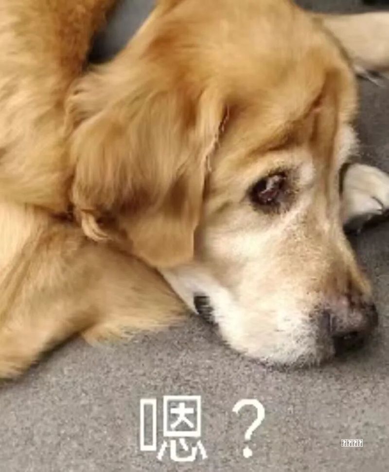 “大汽车”来了